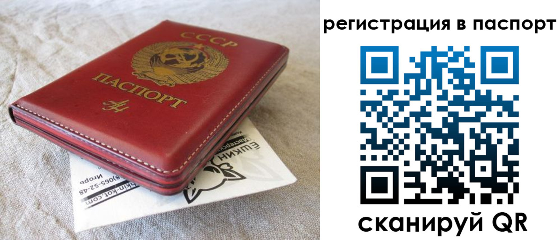 где прописаться в Чкаловске